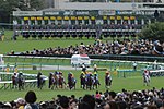 Vignette pour Takarazuka Kinen