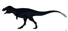 A Gorgosaurus rekonstrukciója