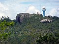 Thumbnail for Cuban pine forests