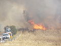 Thumbnail for South Australian Country Fire Service