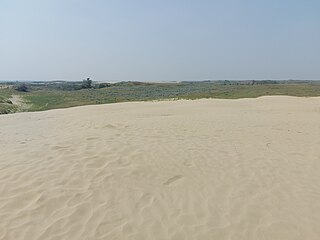 <span class="mw-page-title-main">Great Sand Hills</span> Sand dunes in Saskatchewan, Canada