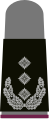 a. Black basic textile with bright-grey emblems – Heer (here: colonel NBC defense corps, grey pullover)