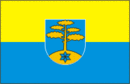 Bandera del municipio de Haaslava