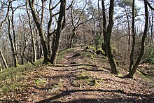 Gipfelweg des Hahnenkammrückens