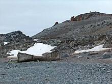 Baleinier norvégien échoué sur Half Moon Island.