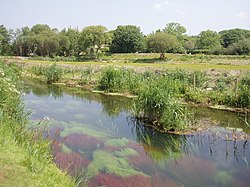 Hayle River near St Erth - geograph.org.uk - 182864.jpg