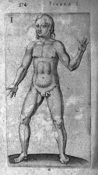 File:Hermaphrodite from De Hermaphroditorum, 1614 Wellcome L0007588.jpg