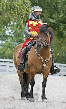 Un homme en armure et portant une couronne monte un poney marron et noir.