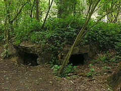 Hill 60 Ypres Belgium bunker at Caterpillar.JPG