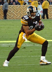 Hines Ward Steelers.jpg