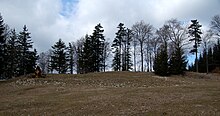 Der Gipfelbereich, wo bis 2007 die Berndorfer Hütte stand.