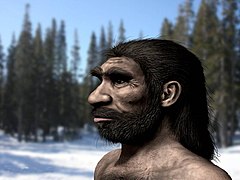 Homo capensis. Ардипитек,неандерталец. Хомо лонги человек дракон.