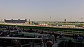 Horse Race view.jpg
