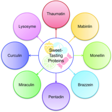 Illustration of sweet-tasting proteins, regardless of their extraction origin, source, and types. Illustration-of-sweet-tasting-proteins-regardless-of-their-extraction-origin-source.png