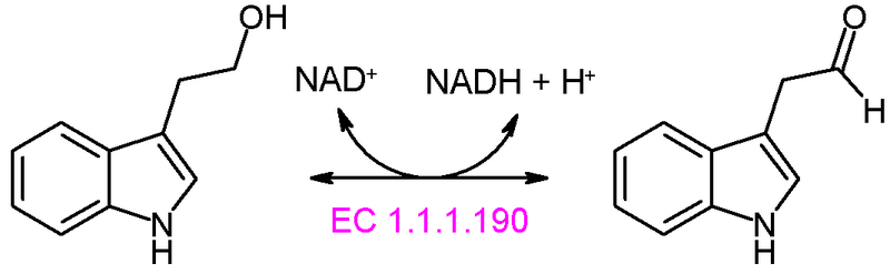 File:Indole-3-acetaldehyde reductase (NADH) reaction.PNG