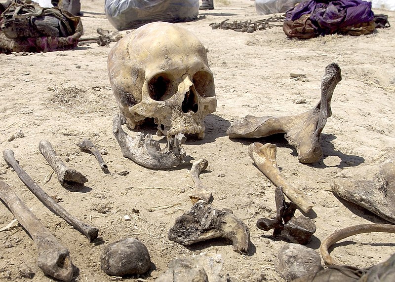 File:Iraqi mass grave.jpg