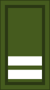 Ireland-Army-OF-D2 camo.svg