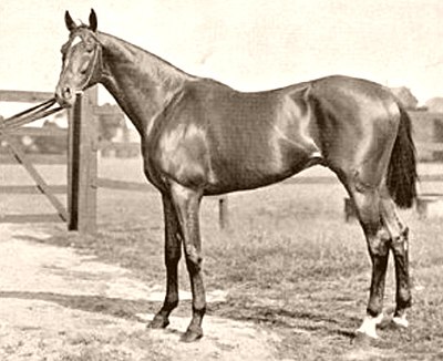 Isinglass (horse)