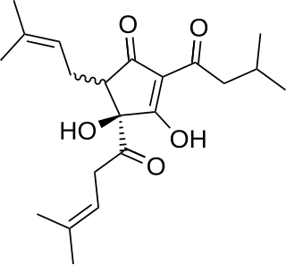 <span class="mw-page-title-main">Isohumulone</span> Chemical compound