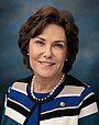 Jacky Rosen, official portrait, 116th congress.jpg