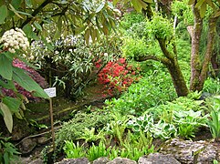 Jardín de las Fuentes Petrificantes (La Sône) abc10.JPG