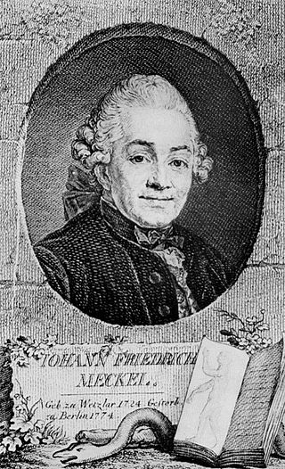 <span class="mw-page-title-main">Johann Friedrich Meckel, the Elder</span> German anatomist (1724–1774)