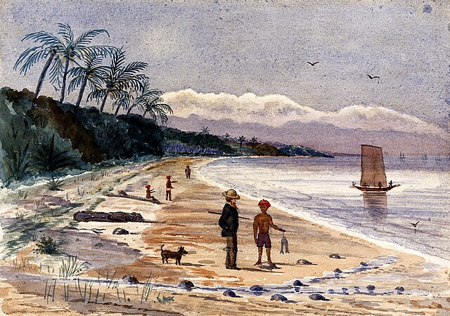 640px-John_Edmund_Taylor,_View_along_the_Beach_by_Singlap,_Singapore_(1879,_Wellcome_V0037487).jpg (640Ã450)