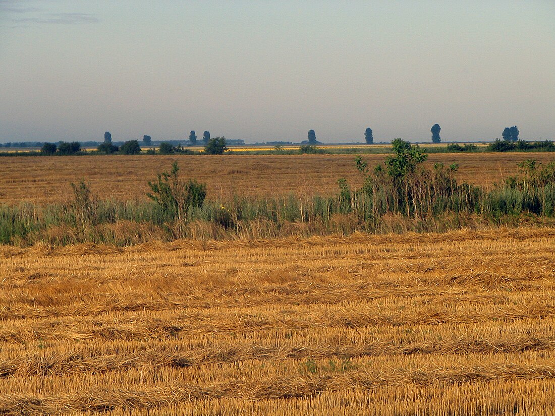 File:Județul Călărași, România.jpg