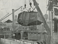 Jun 14 1919 Mephisto Tank lands at Brisbane.png