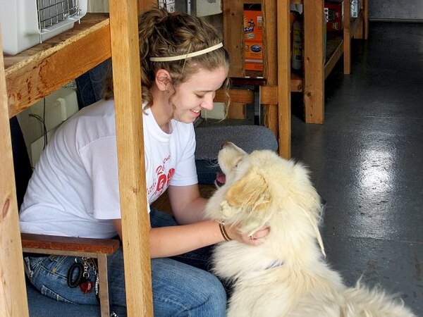 A KAMS student volunteering at the local Humane Society.