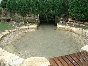 Karst spring Unterbürg.JPG