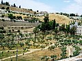 Kidron Valley Jerusalem.jpg