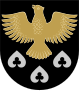 基烏魯韋西（Kiuruvesi）的徽章