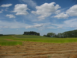 Country of Vysočina Region, Czech Republic