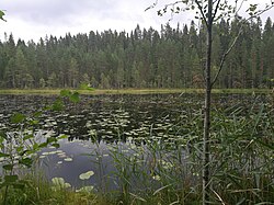 Näkymä Kukkarolammen länsirannalta