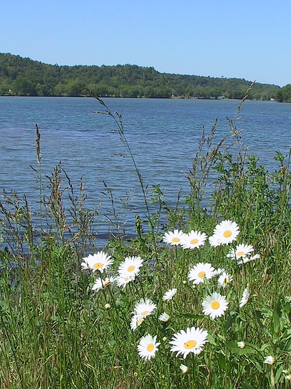 Lake Eucha