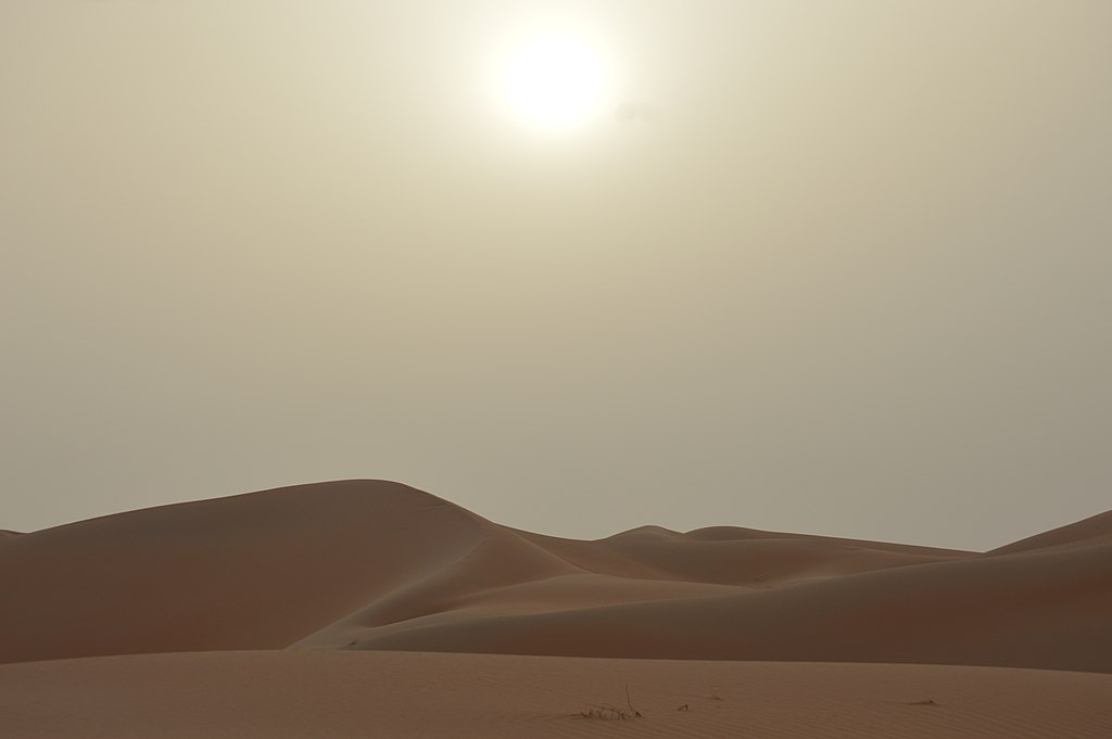 Liwa Desert