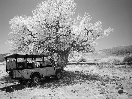 Off-roading at Koigab Riverbed