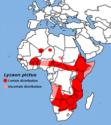 Lycaon pictus map-tob.png