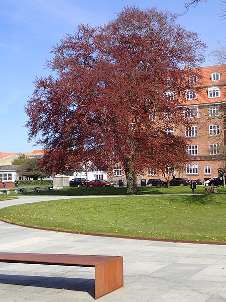 File:Mølleparken (maj 02).jpg