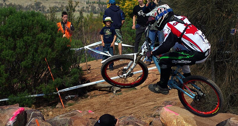 File:MTB downhill 9 Stevage.jpg