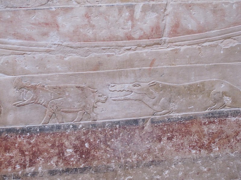 File:Mastaba of Princess Idut hippos vs. crocodile.JPG