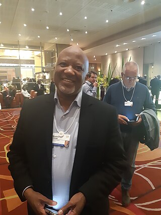 <span class="mw-page-title-main">Mcebisi Jonas</span> South African politician