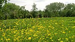 Broadhurst Park (public park)