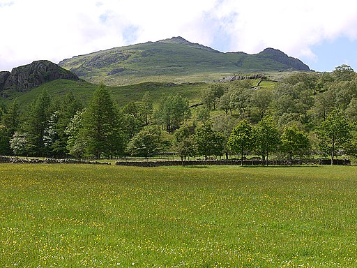 Meadow near Dale Head - geograph.org.uk - 4053703