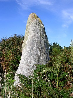 Image illustrative de l’article Menhir de Luguenez