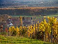 * Nomination View of Michelau in the Steigerwald --Ermell 07:23, 30 November 2020 (UTC) * Promotion Good quality. Nice autumnak colours. --Cayambe 19:00, 30 November 2020 (UTC)