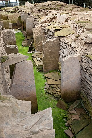 <span class="mw-page-title-main">Midhowe Chambered Cairn</span> Neolithic chambered cairn on Rousay, Orkney, Scotland