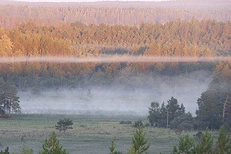 WLE: A misty morning in Skekarsbo in the Färnebofjärden National Park in central Sweden.