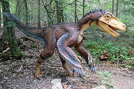 18.4.2024 Velociraptor